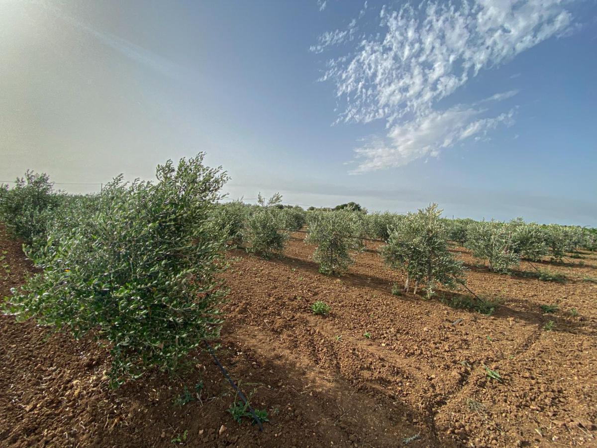 Podere Carafa Villa Nardo Luaran gambar